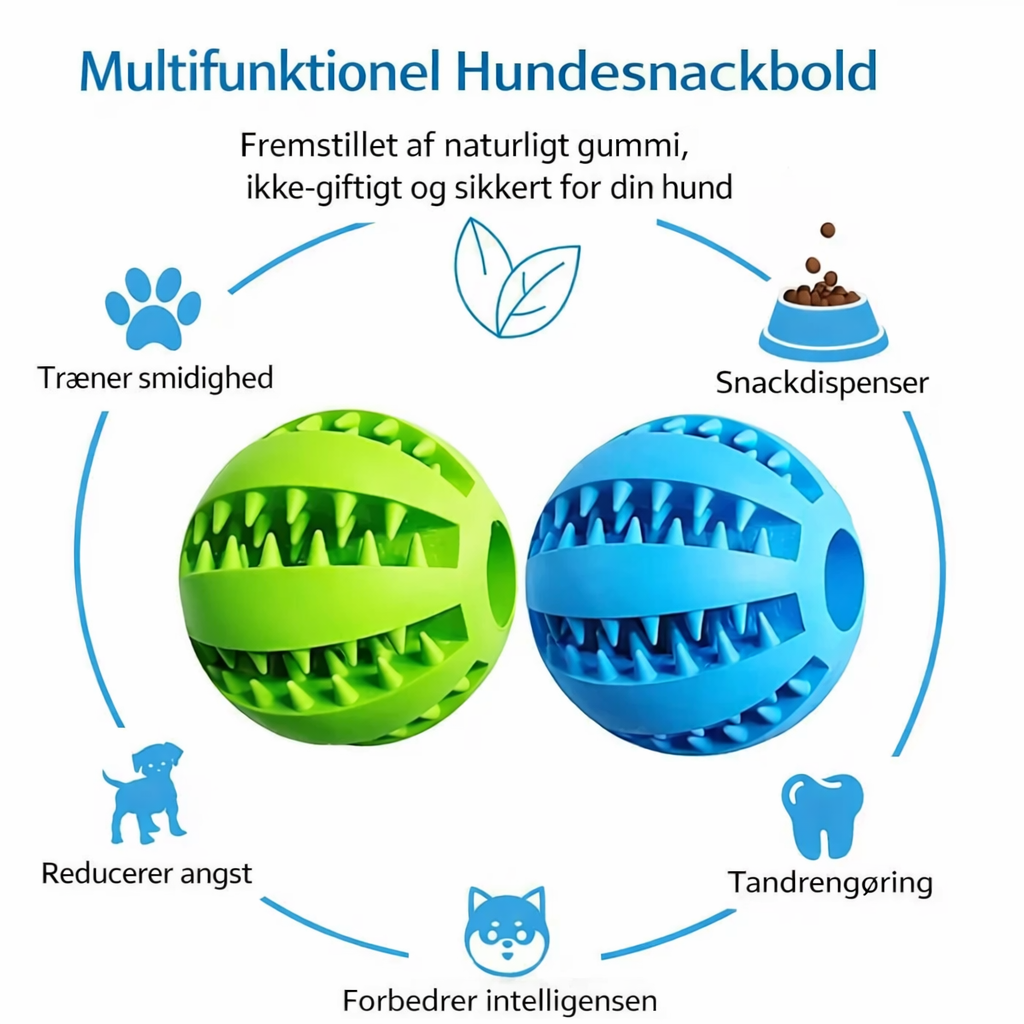 RenTand™ - Interaktiv Hundebold